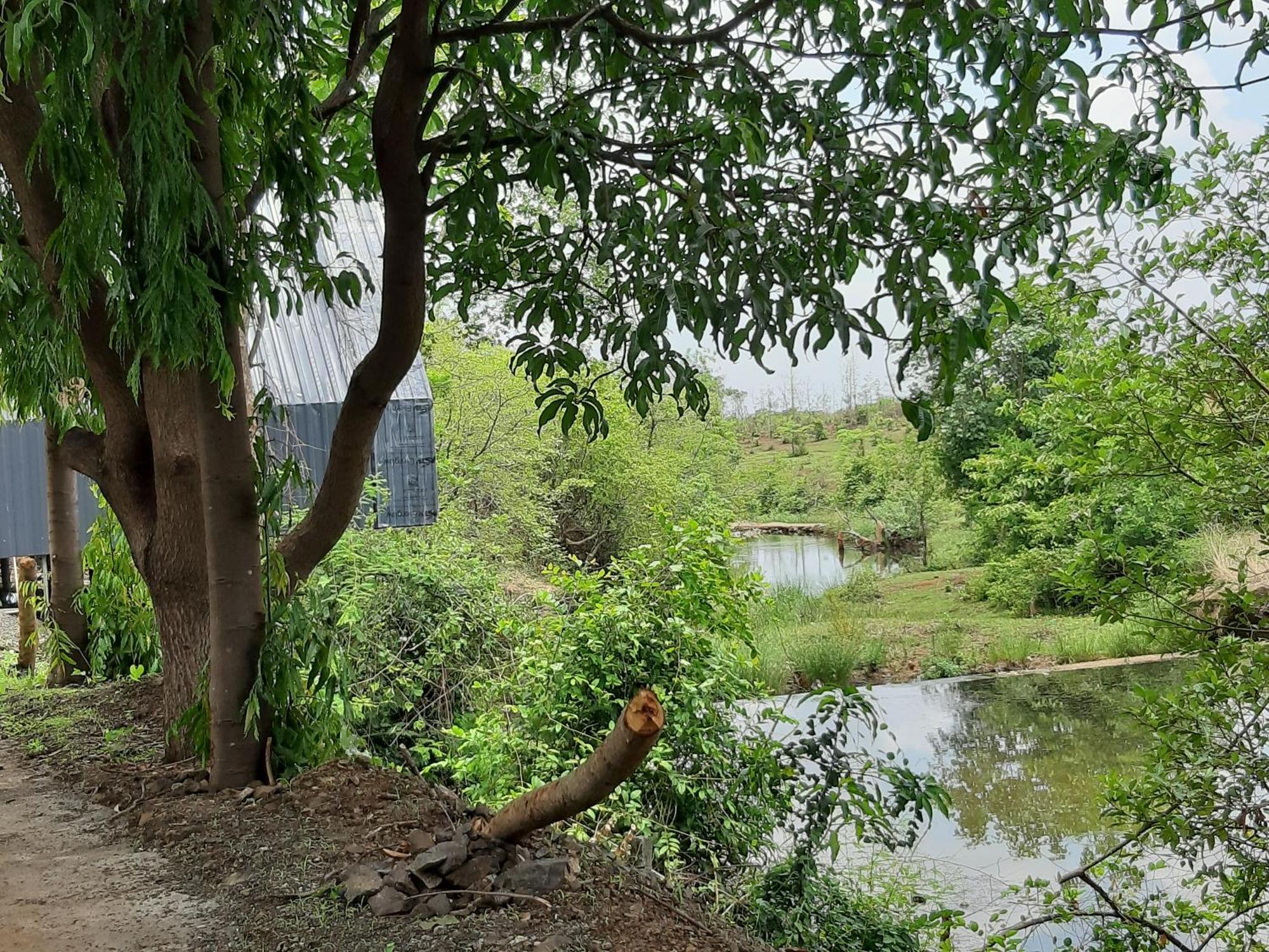 River Ranch Saralgaon エクステリア 写真
